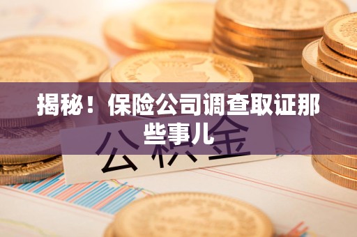 沈阳揭秘！保险公司调查取证那些事儿