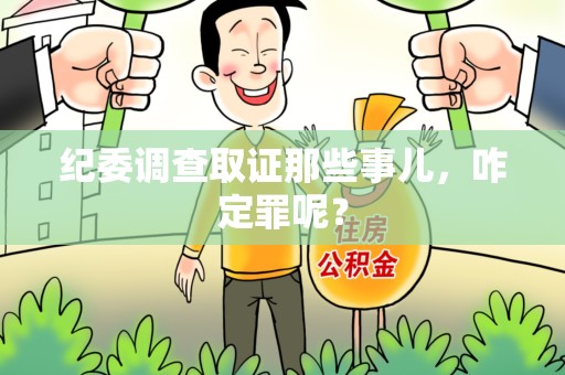 沈阳纪委调查取证那些事儿，咋定罪呢？