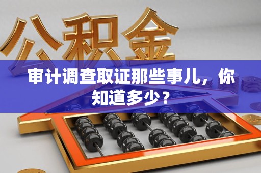 沈阳审计调查取证那些事儿，你知道多少？